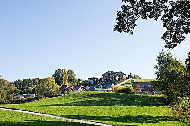 逆袭神话！《黑神话》杨奇：从被剥夺学位到荣膺客座教授