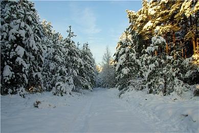 《生化危机4：重制版》正式公布 2023年3月24日发售