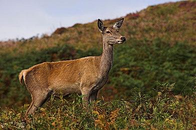 《星空》设计师：很期待《星空2》 将解决很多问题